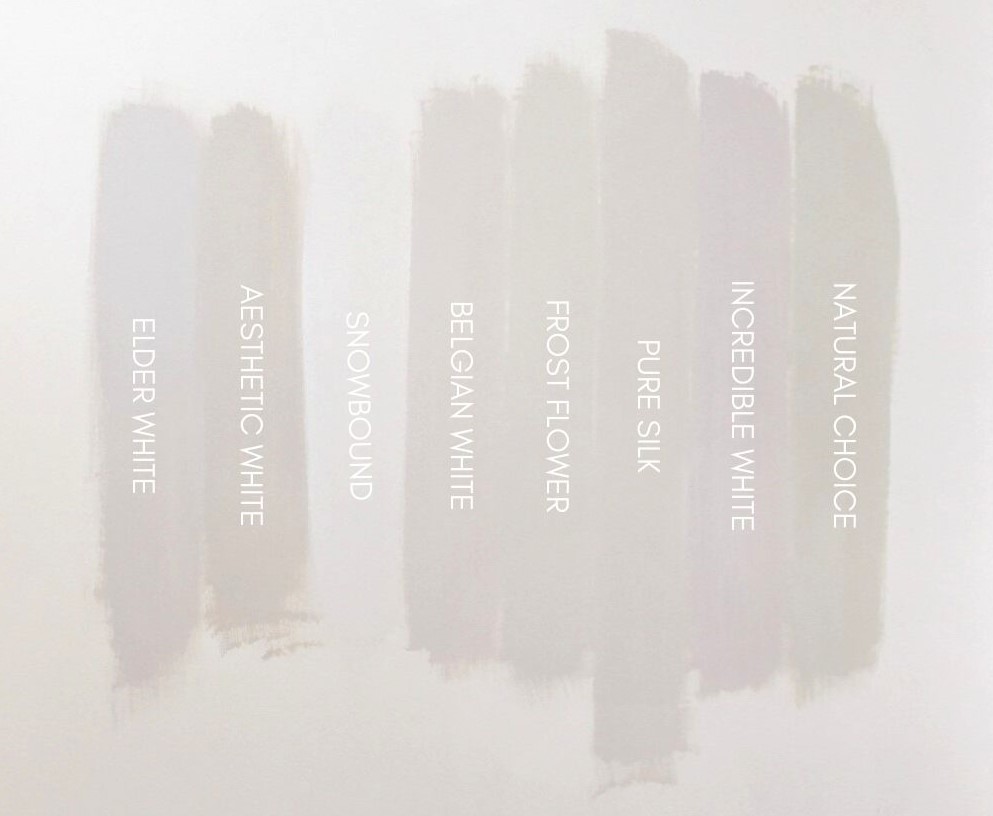 HGTV Home Warm White Paint Samples On Walls