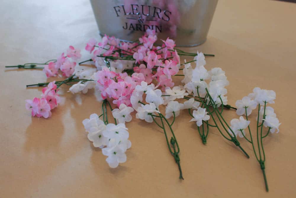 Baby's Breath Flowers