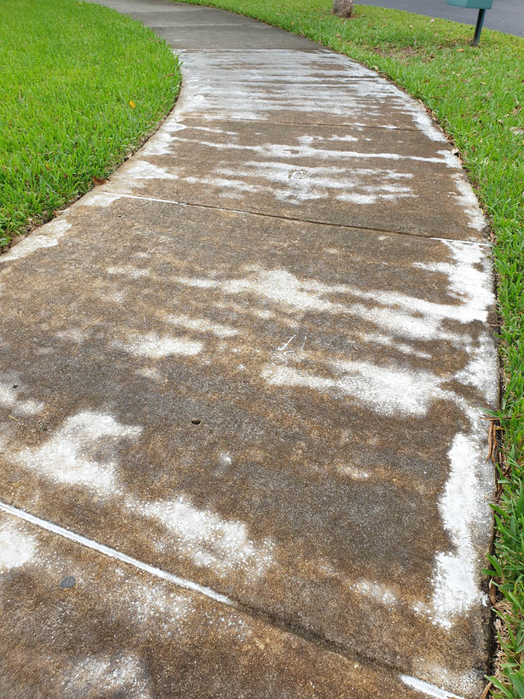 During Sidewalk Cleaning