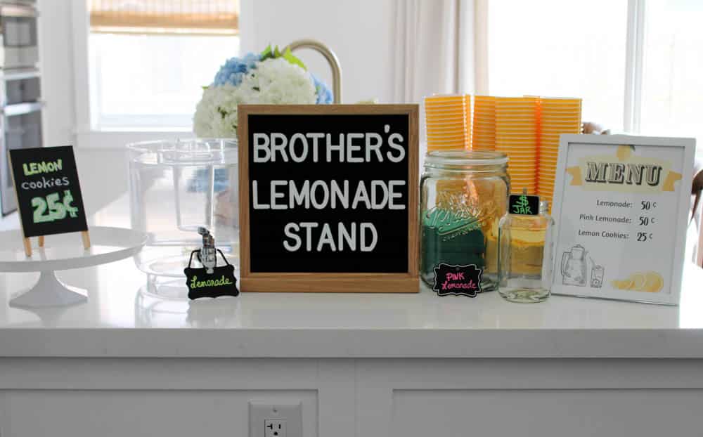 Lemonade Stand Supplies And Decor